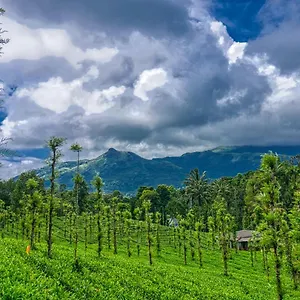 https://ende-wayanad-resort.kerala-hotels.net
